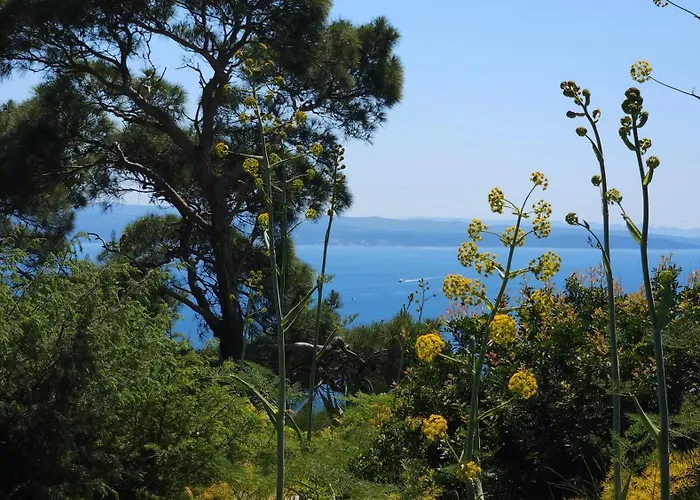 Tony Close To Everything سبليت